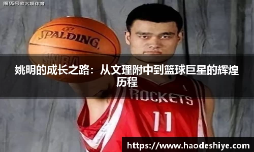 米兰(中国)体育官方网站