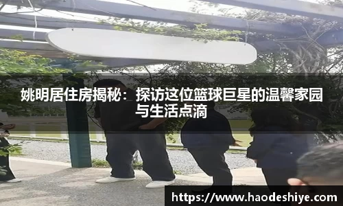 米兰(中国)体育官方网站