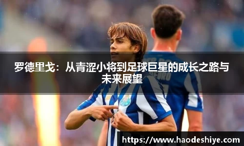 米兰(中国)体育官方网站